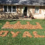 Young fan turns pile of leaves into wonderful Kansas City Royals crown