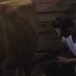 Kris Bryant takes bus ride with billy goat in new Red Bull ad