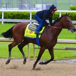 Kentucky Derby 2015 expert picks – The Courier-Journal