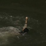 Fan plunges into McCovey Cove to retrieve Joe Panik home run