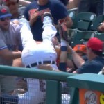 Alex Avila makes outstanding catch diving into stands