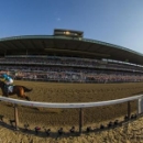 American Pharoah wins again, takes the Haskell (Reuters)